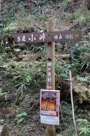 f:id:hamtaro:20220306145319j:image