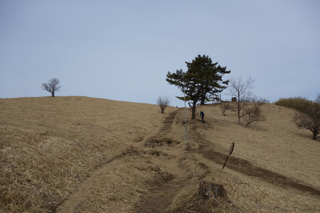 f:id:hamtaro:20220402095242j:image