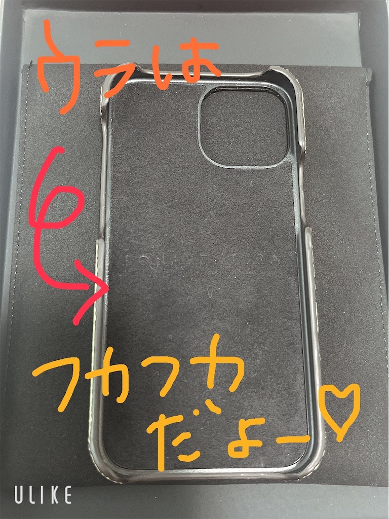 f:id:hamu86taro:20220704094707j:image