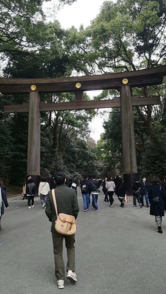 f:id:hamu_teru:20190107213936j:plain