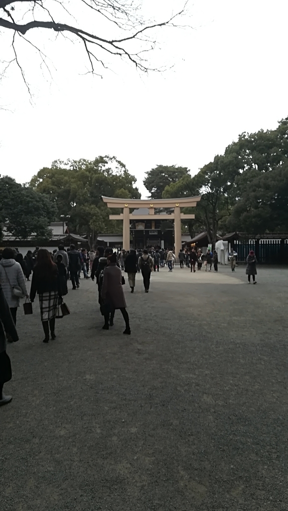 f:id:hamu_teru:20190107214006j:plain