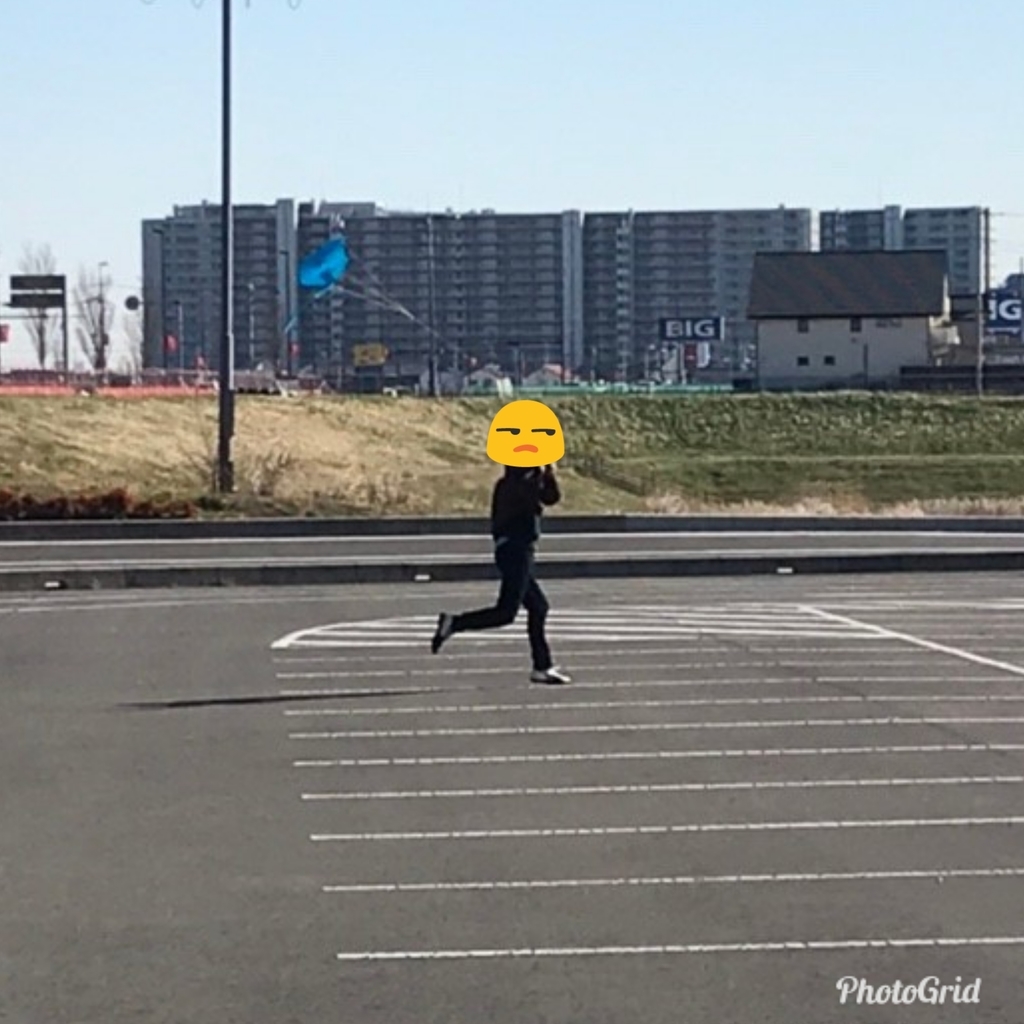 f:id:hamu_teru:20190108231158j:plain