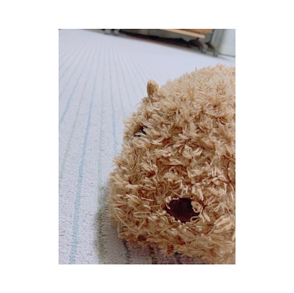 f:id:hamu_z:20220105171124j:plain