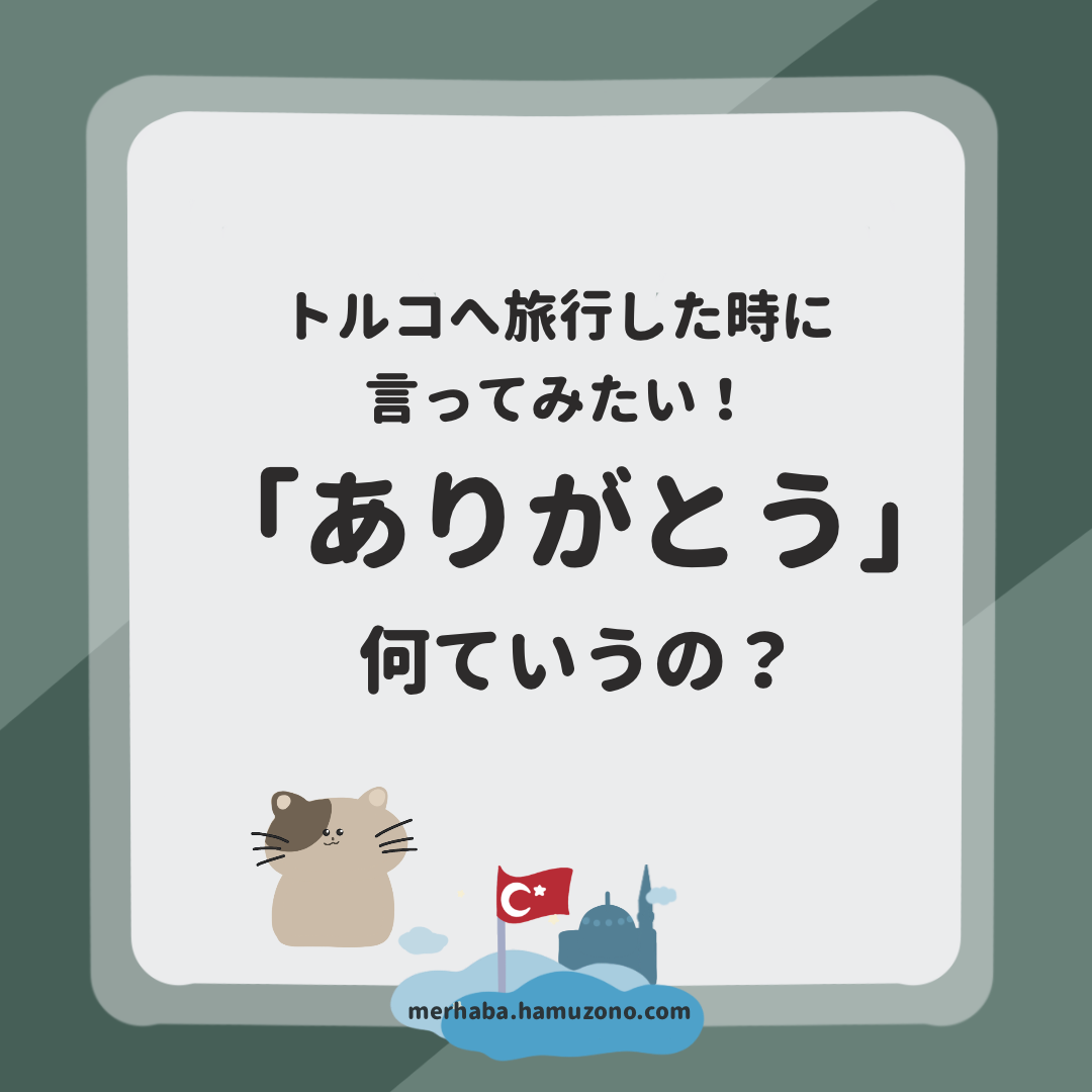 トルコ語でありがとうを言ってみよう！ - 深夜航空 トルコライン