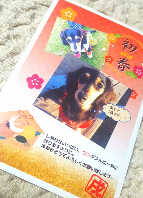 f:id:hamujikun:20180117214338j:image f:id:hamujikun:20180117214338j:image