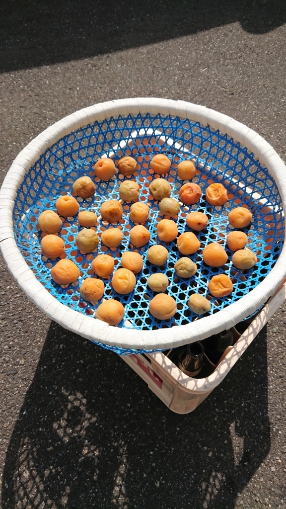 f:id:hamukotan:20180718211424j:plain