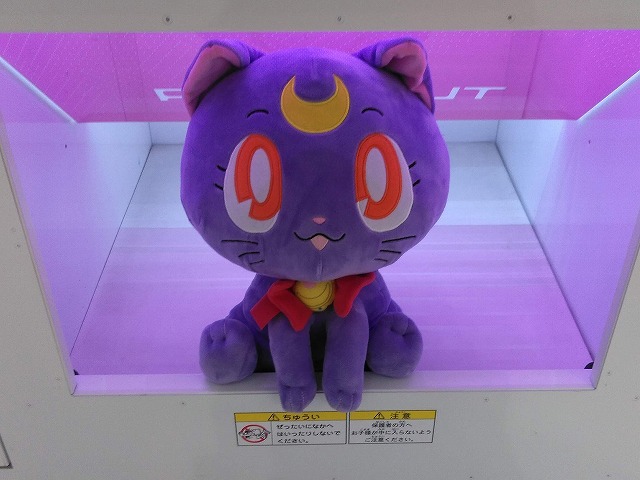 f:id:hamuponkichi:20201120203717j:plain