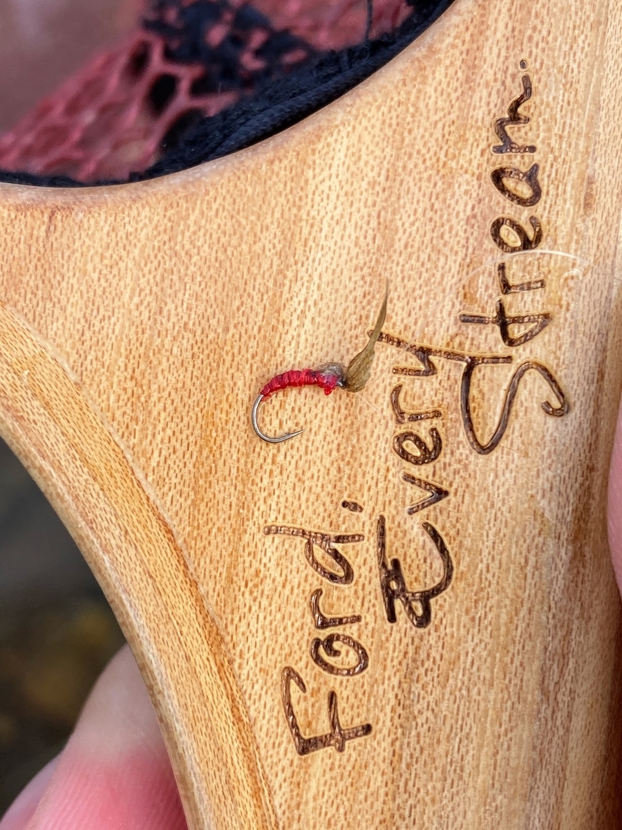 f:id:hamusuke-k:20210616081410j:plain