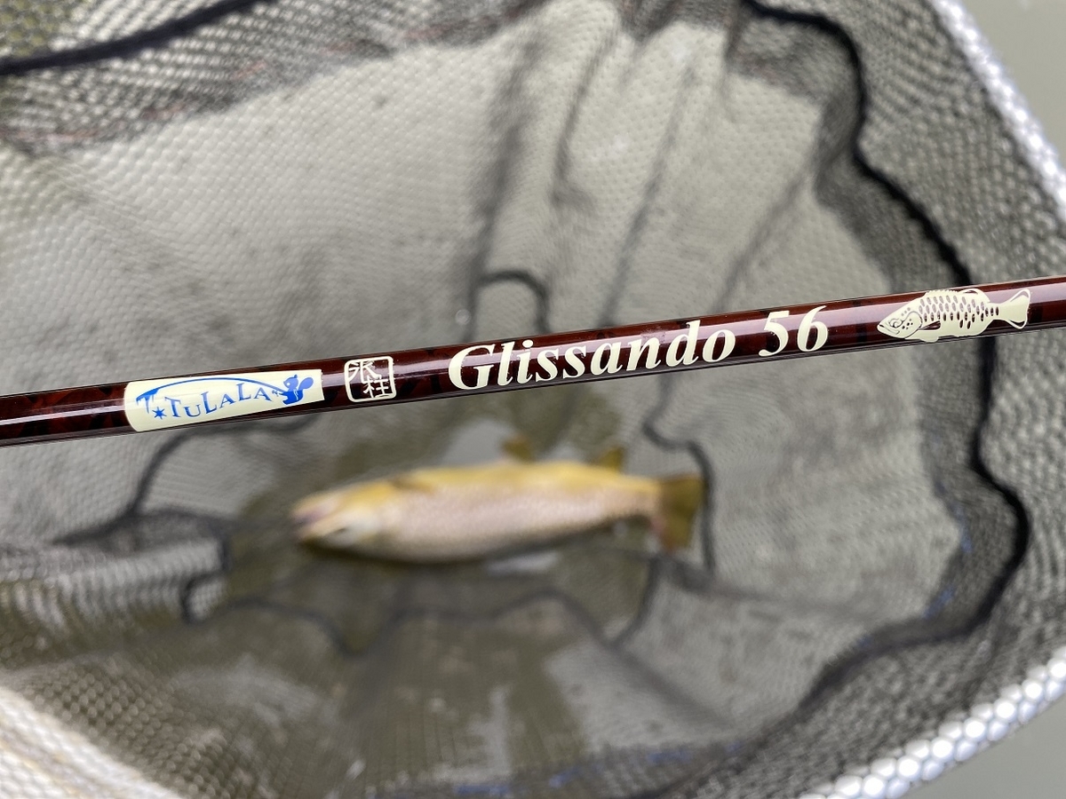 グリッサンド56 エリアトラウト本格使用 - FF日誌