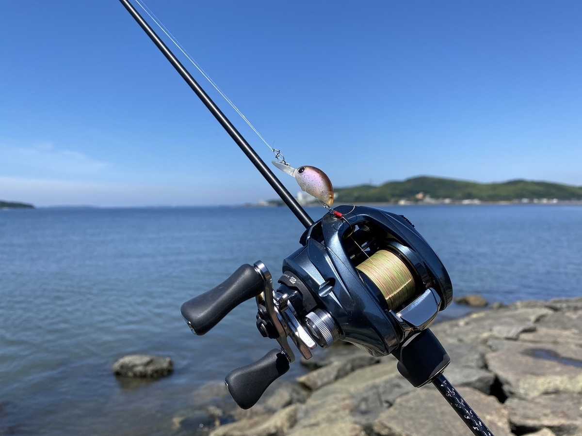 今季初ハゼクラ＆釣れそうで釣れないアジング - FF日誌