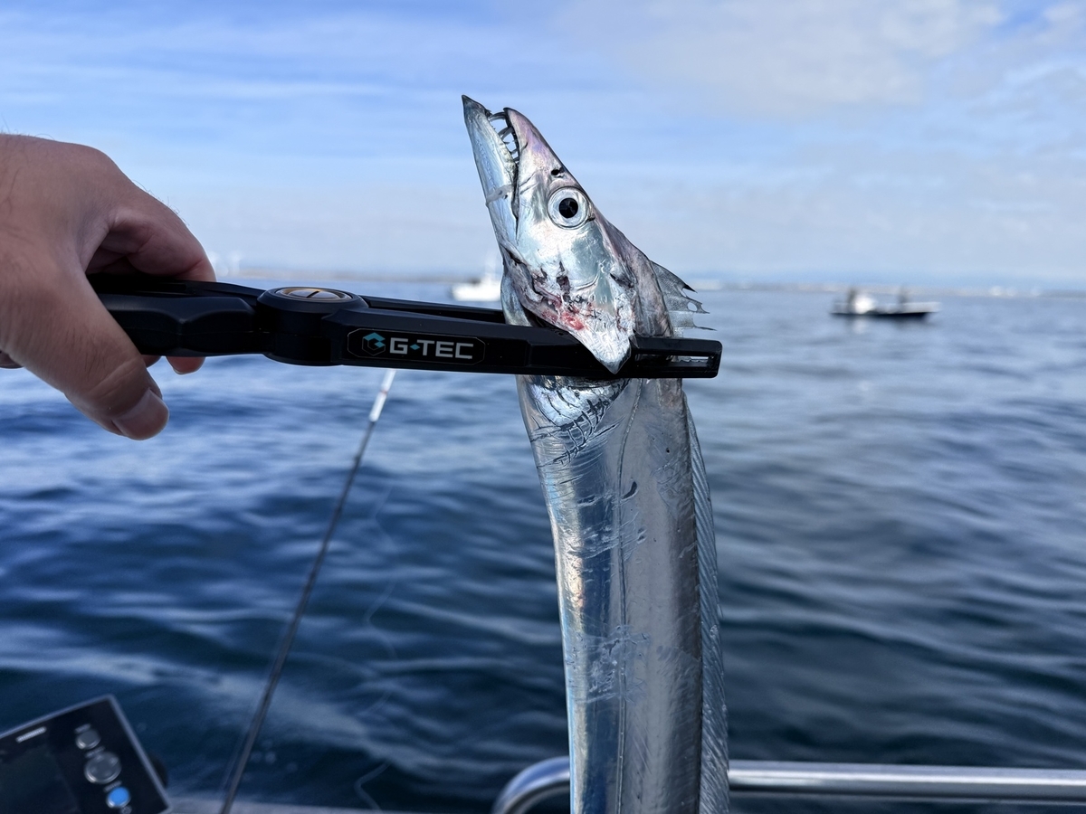 【激レア】ファーストインプレッションテストモデル_エフエックス6.6_ワカサギ 激レア】エフエックス6.6_ファーストインプレッションテストモデル_