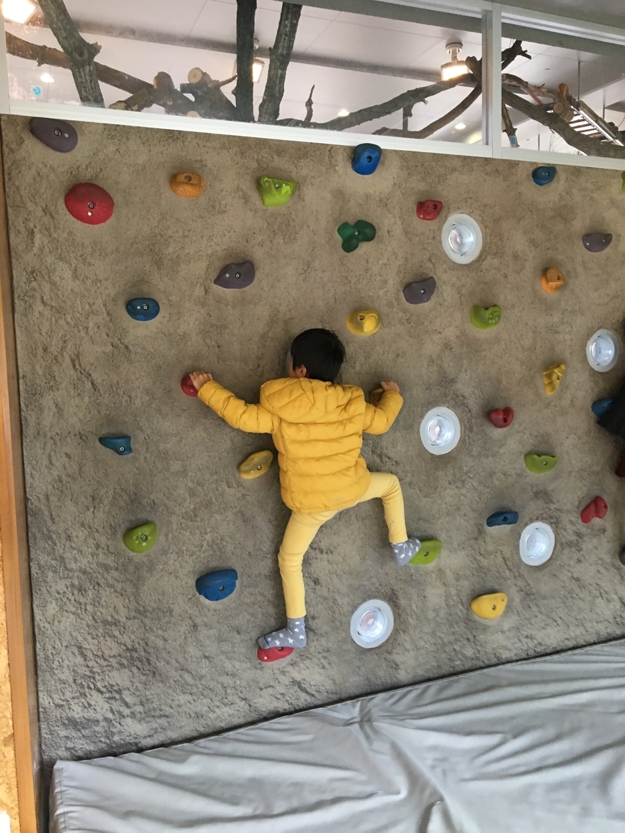 f:id:hamusutatan:20191105120208j:plain