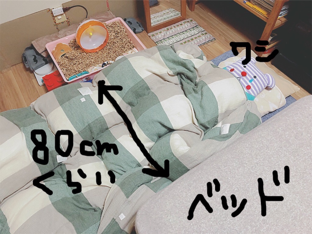 f:id:hamuyashiki:20191213003835j:image