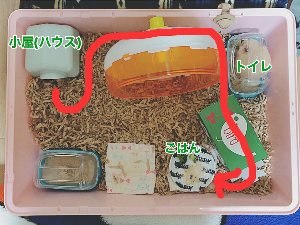 f:id:hamuyashiki:20200117080444j:image