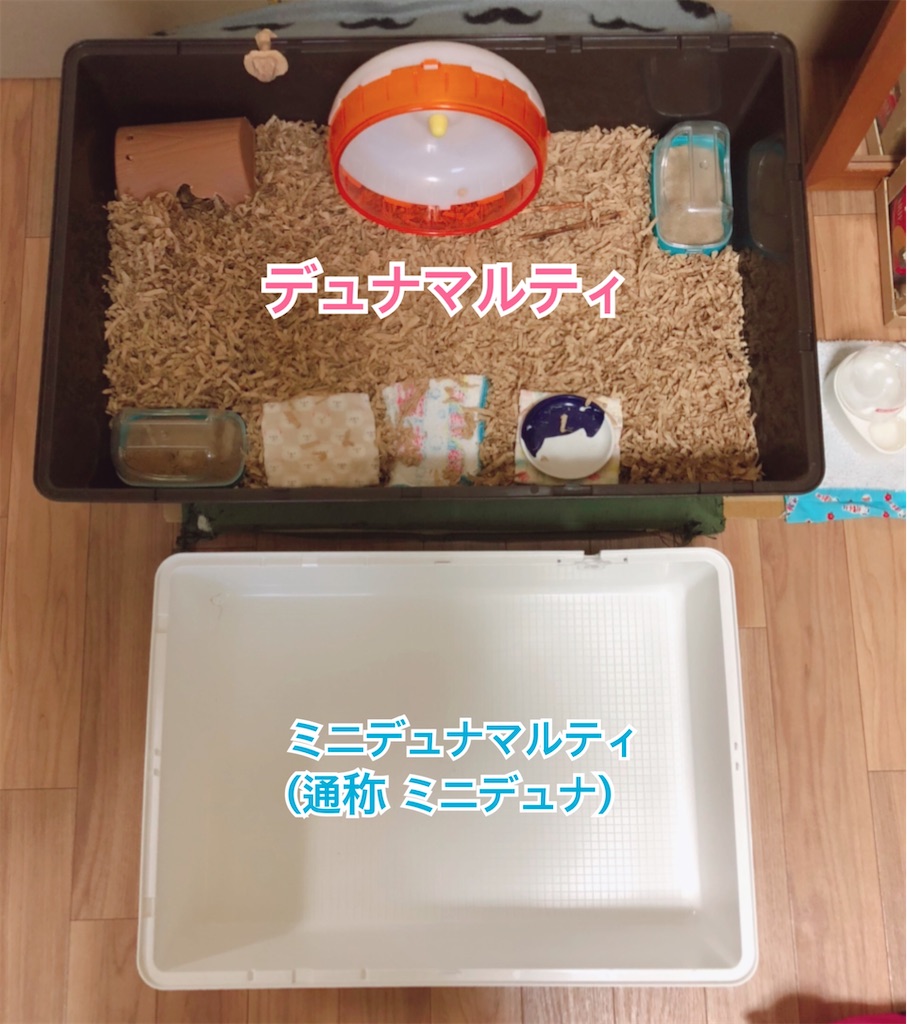 f:id:hamuyashiki:20201103135703j:image