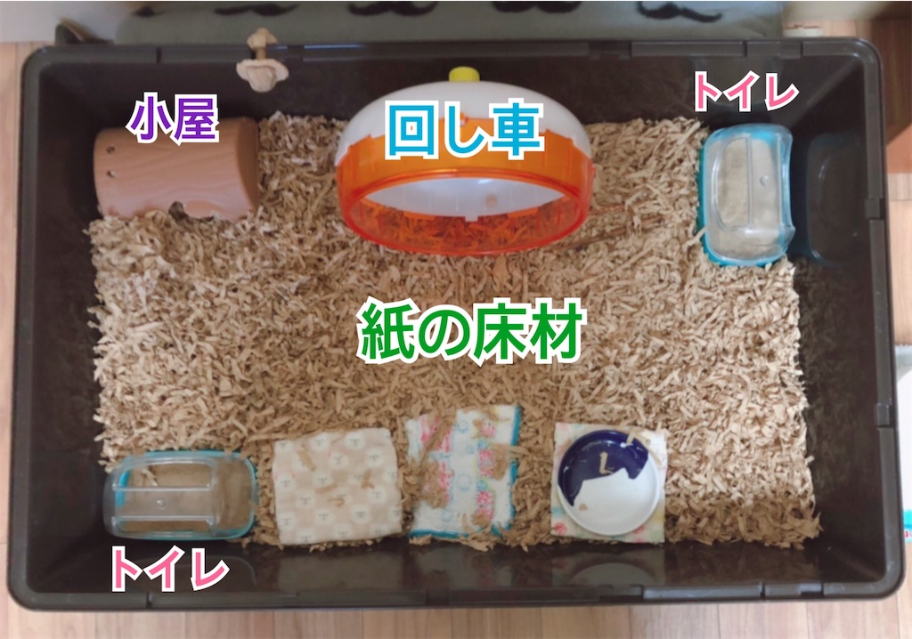 f:id:hamuyashiki:20201103202857j:image