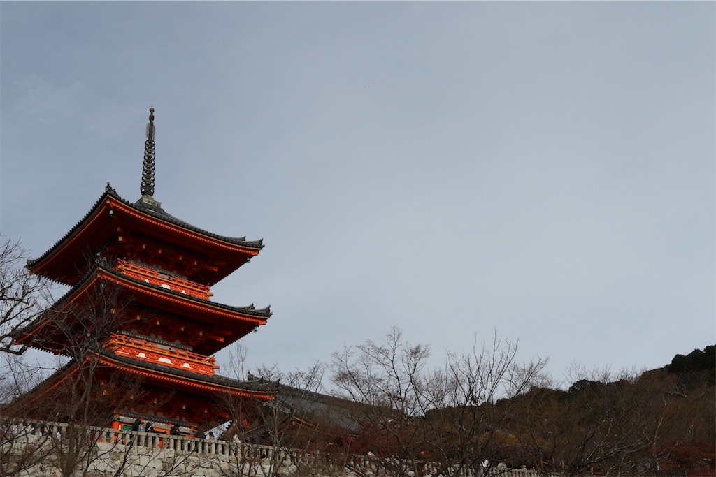 f:id:hamuzosan:20190220170502j:image f:id:hamuzosan:20190220170502j:image