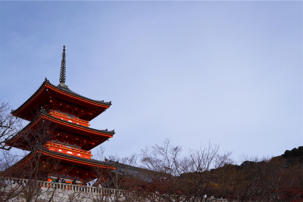 f:id:hamuzosan:20190220170507j:image f:id:hamuzosan:20190220170507j:image