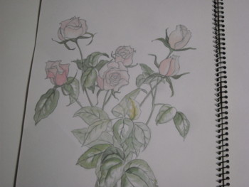 f:id:han-na:20100202003545j:image:left