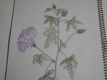f:id:han-na:20100202003622j:image:left