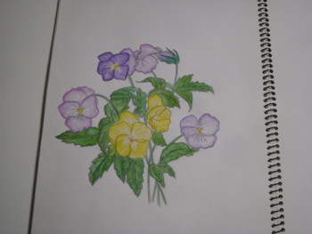 f:id:han-na:20100202003657j:image:left