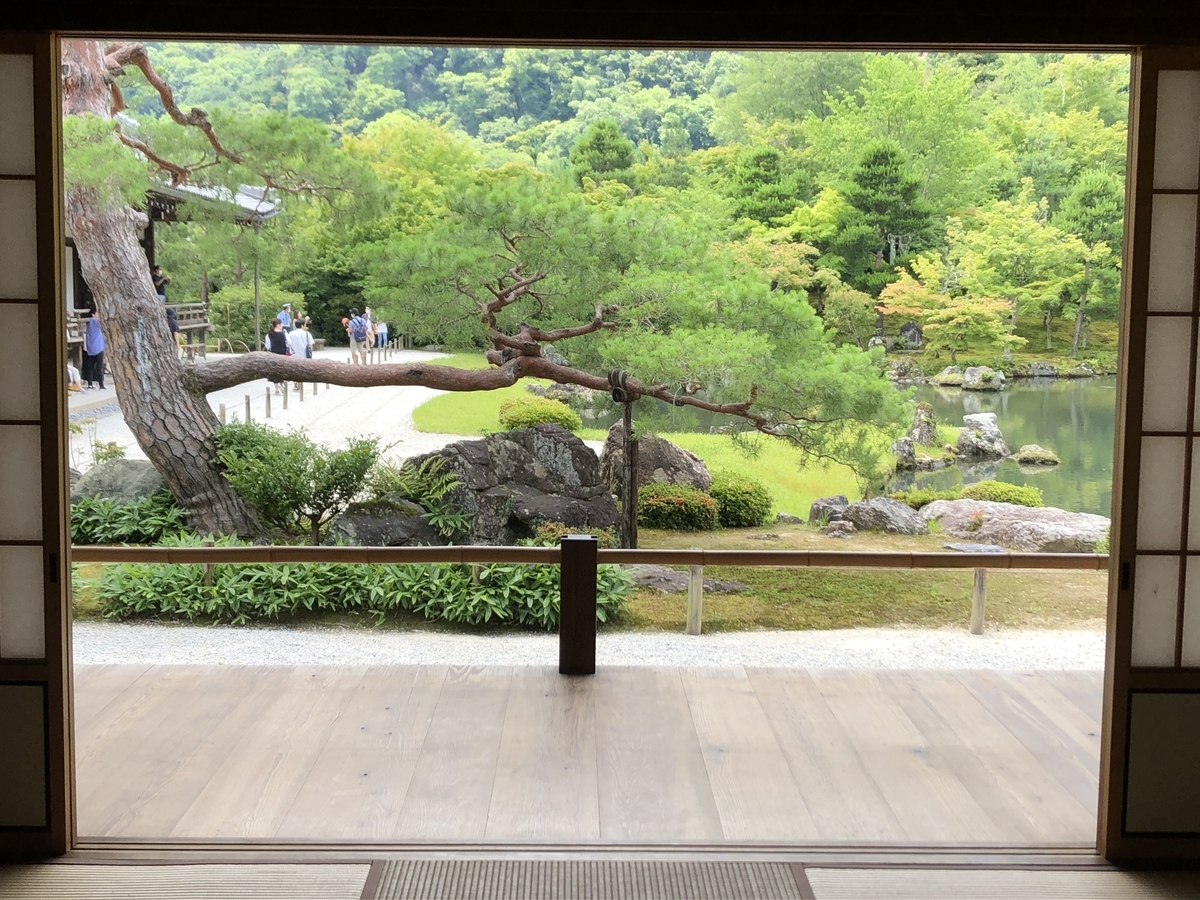 f:id:hana-ei:20201104175217j:plain f:id:hana-ei:20201104175217j:plain