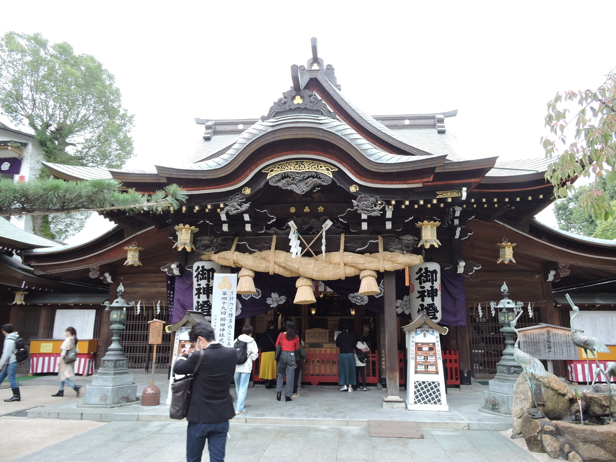 f:id:hana-ei:20201108210345j:plain f:id:hana-ei:20201108210345j:plain