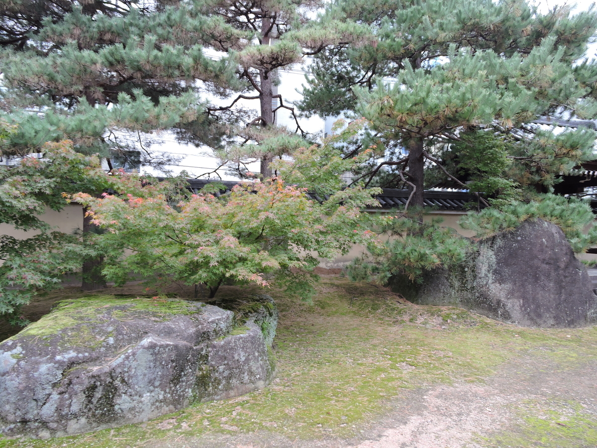 f:id:hana-ei:20201109170034j:plain f:id:hana-ei:20201109170034j:plain