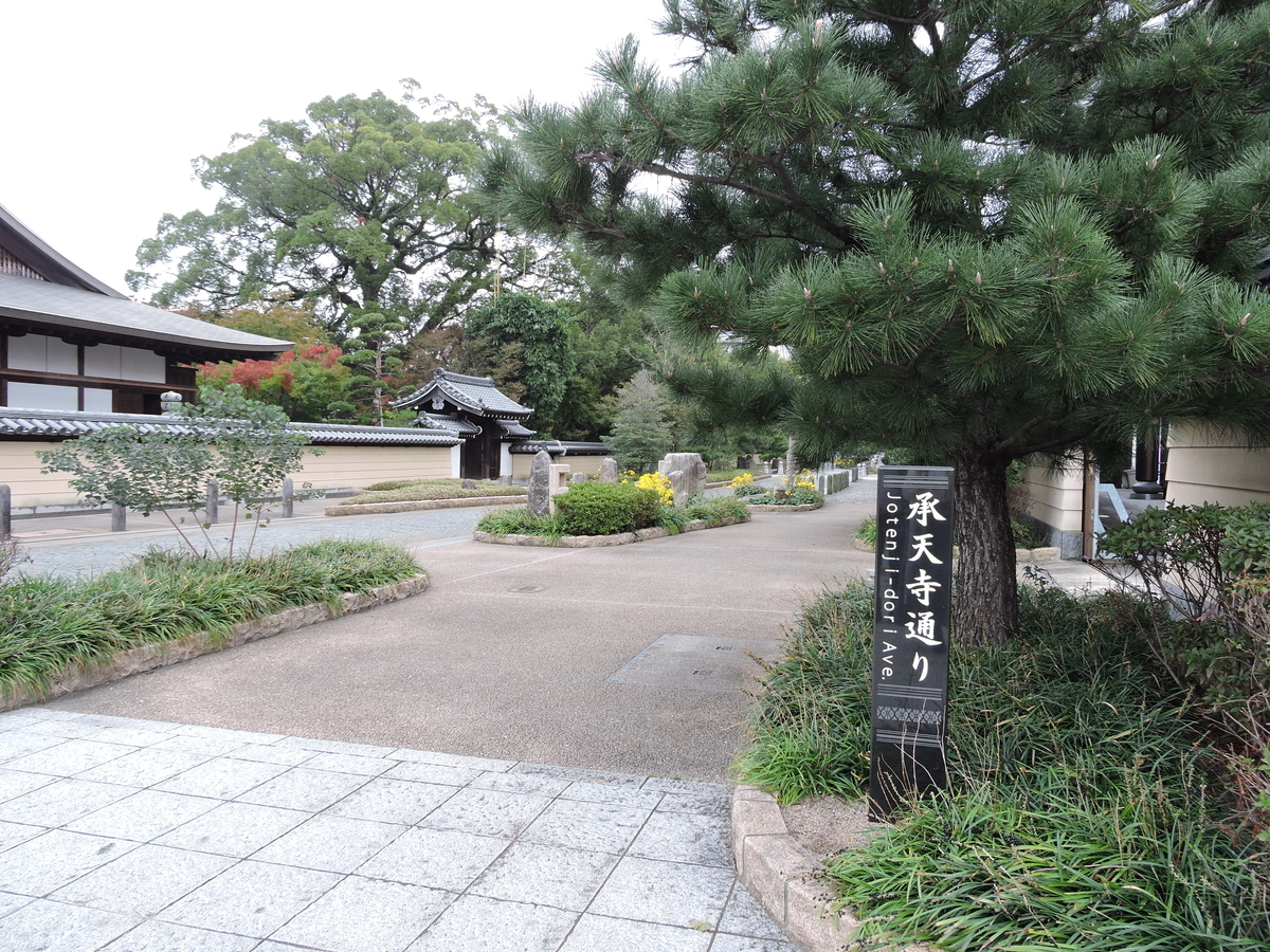 f:id:hana-ei:20201109175305j:plain f:id:hana-ei:20201109175305j:plain