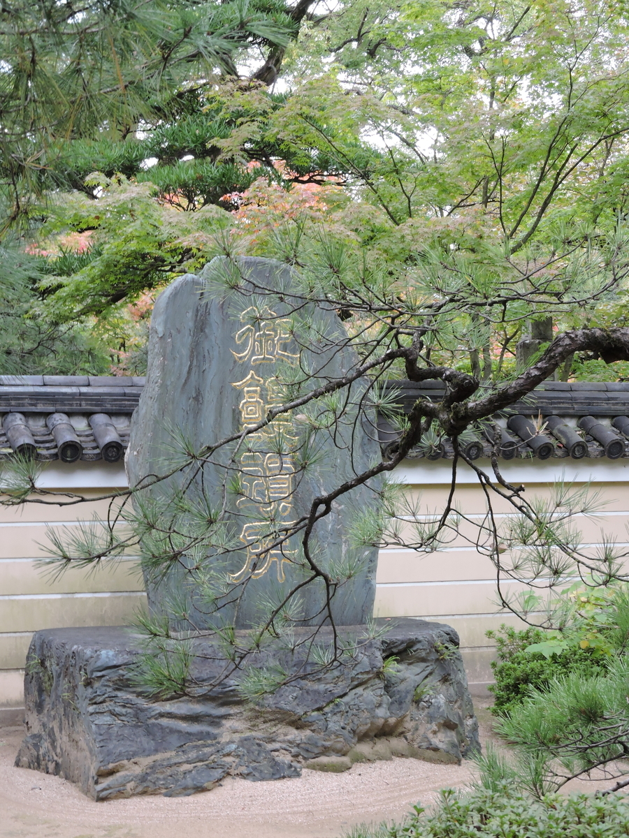 f:id:hana-ei:20201109180451j:plain f:id:hana-ei:20201109180451j:plain
