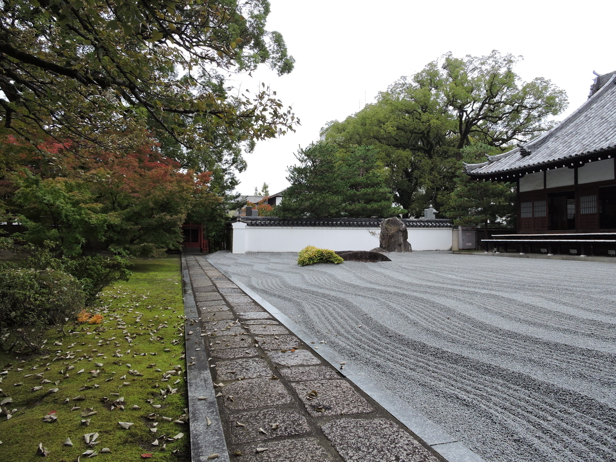 f:id:hana-ei:20201109181226j:plain f:id:hana-ei:20201109181226j:plain
