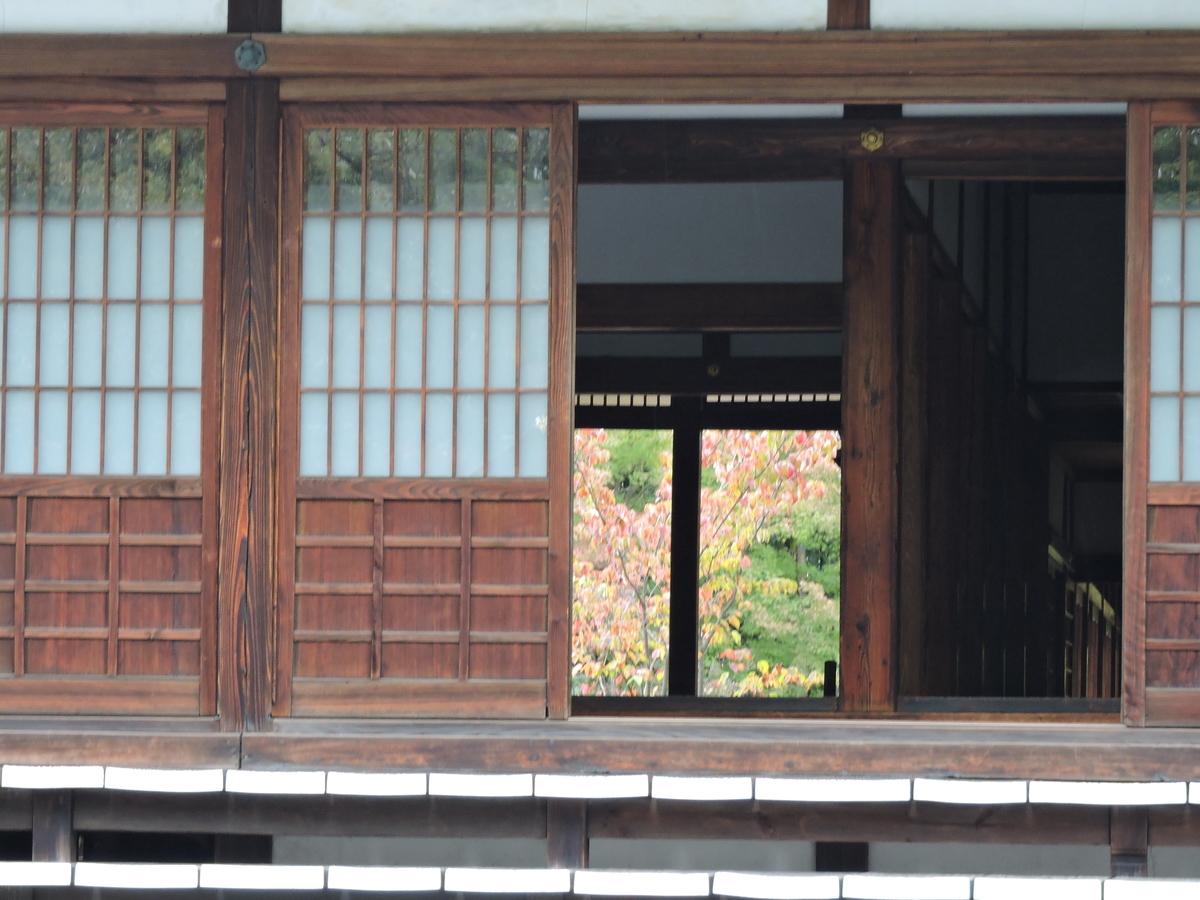 f:id:hana-ei:20201109181618j:plain f:id:hana-ei:20201109181618j:plain
