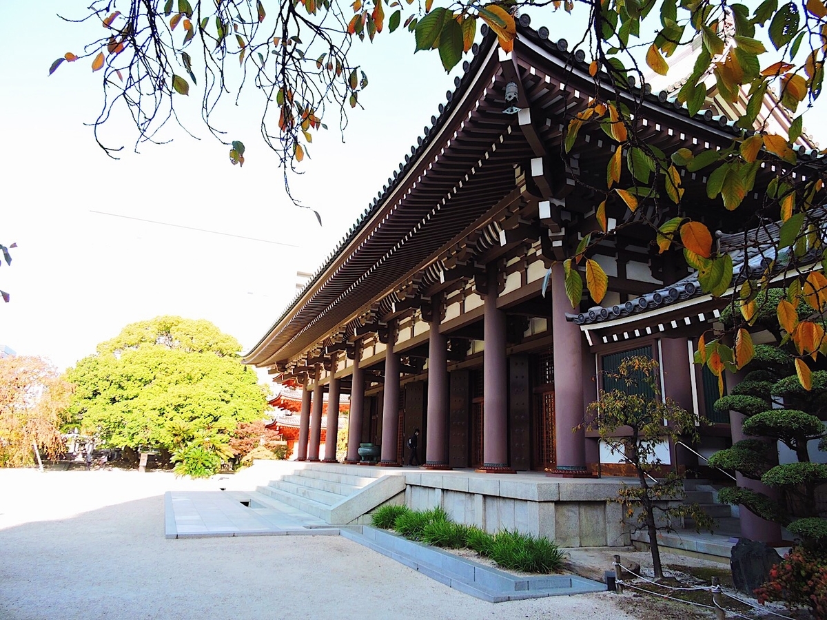 f:id:hana-ei:20201111224553j:plain f:id:hana-ei:20201111224553j:plain