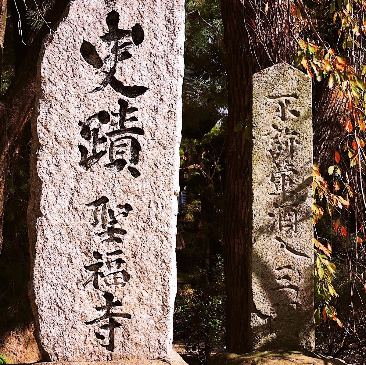 f:id:hana-ei:20201112172308j:plain f:id:hana-ei:20201112172308j:plain