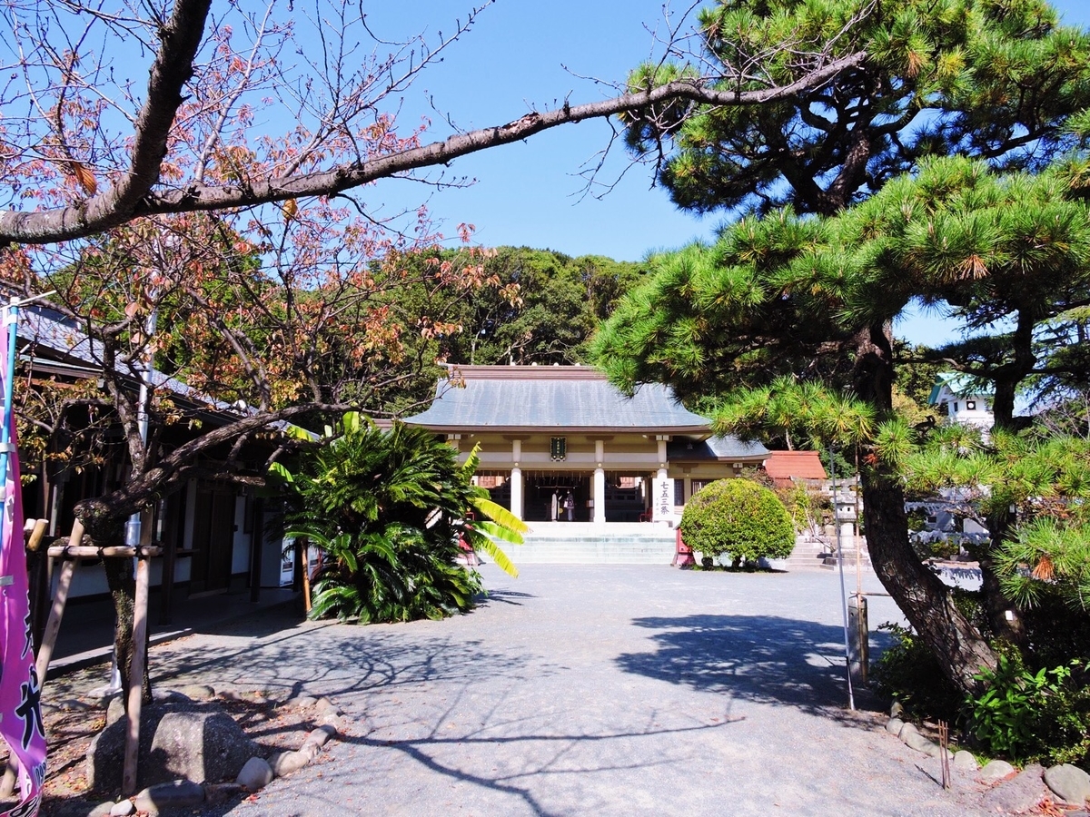 f:id:hana-ei:20201114195628j:plain f:id:hana-ei:20201114195628j:plain