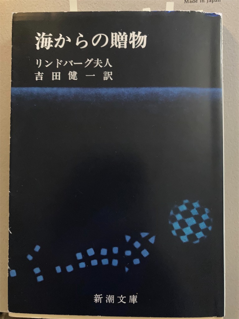 f:id:hana-lifelog:20231007174655j:image