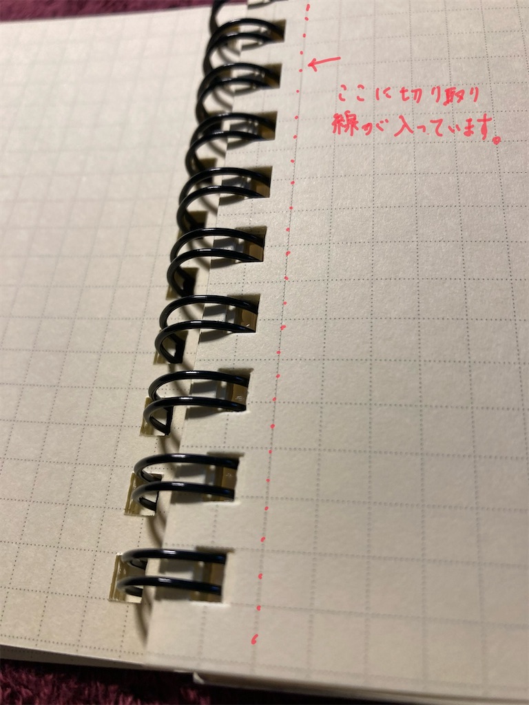 f:id:hana-lifelog:20240811165704j:image
