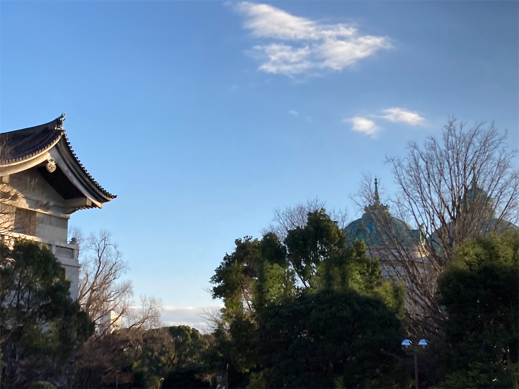 f:id:hana-lifelog:20250218231807j:image