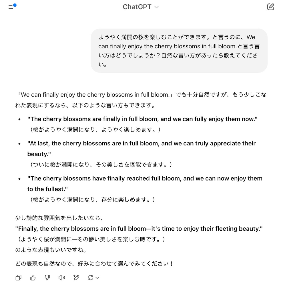 f:id:hana-lifelog:20250331012251j:image