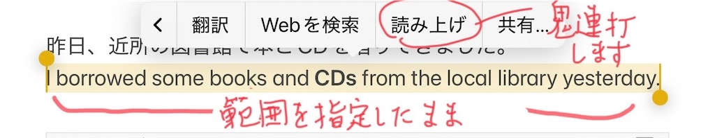 f:id:hana-lifelog:20250401125602j:image