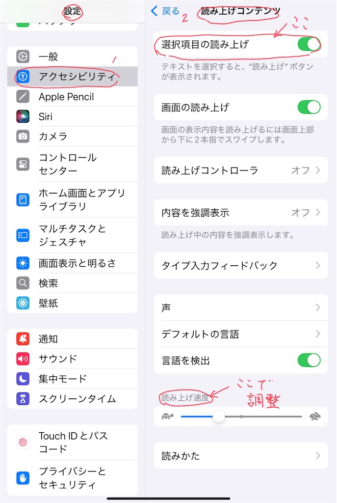 f:id:hana-lifelog:20250401184025j:image