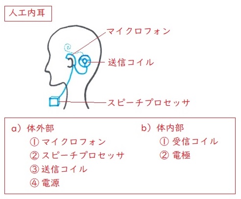 f:id:hana-mode:20200202163853j:image f:id:hana-mode:20200202163853j:image