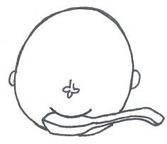 f:id:hana-mode:20200218111844j:image:w150