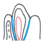 20200409115709
