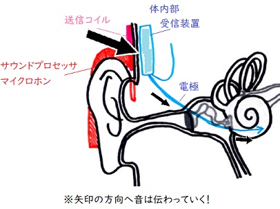 f:id:hana-mode:20200704172240j:image f:id:hana-mode:20200704172240j:image