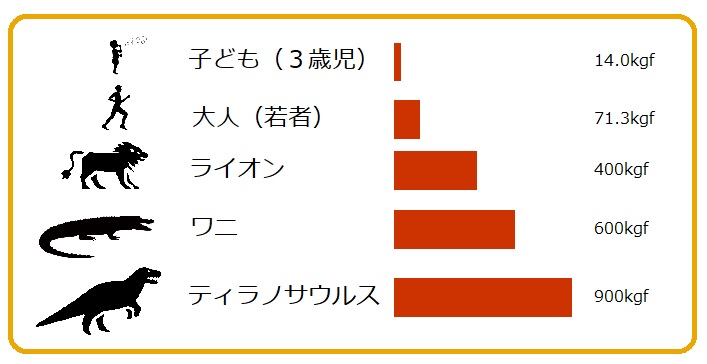f:id:hana-mode:20201021211812j:image