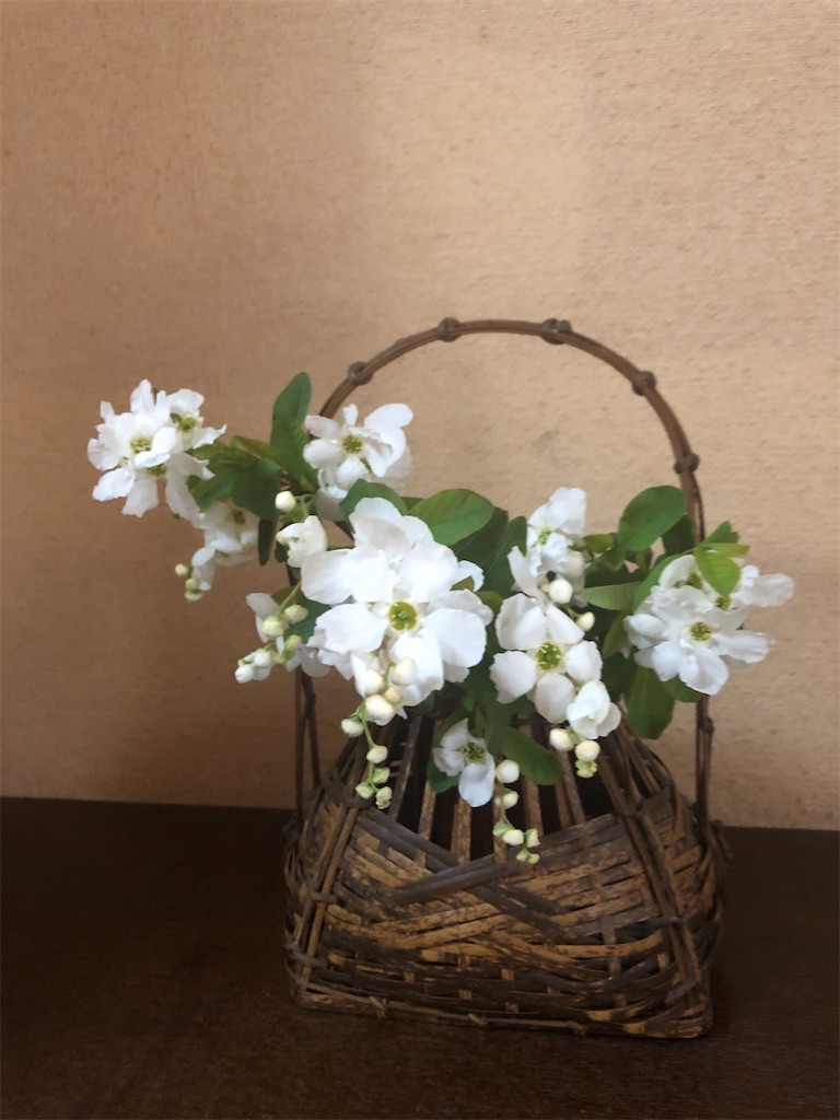 f:id:hana-pippy:20240331144802j:image f:id:hana-pippy:20240331144802j:image