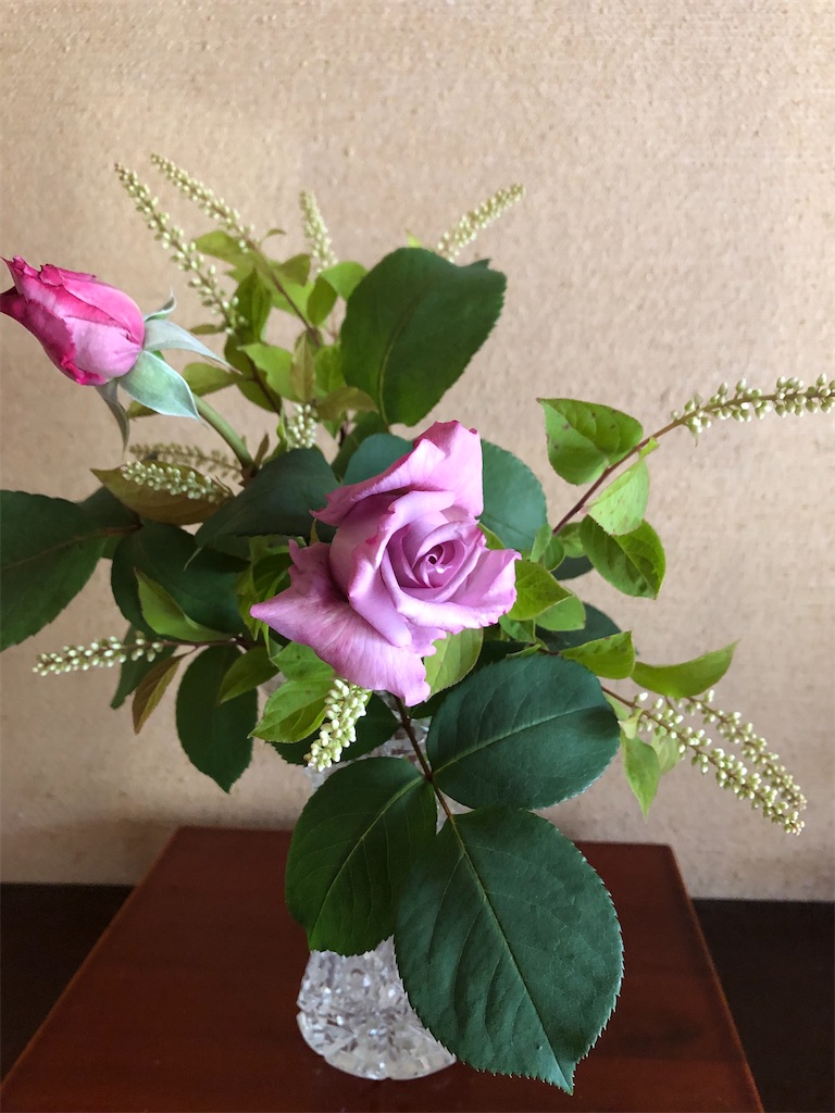 f:id:hana-pippy:20240429110959j:image f:id:hana-pippy:20240429110959j:image