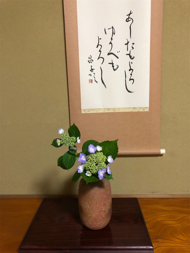 f:id:hana-pippy:20240530210953j:image
