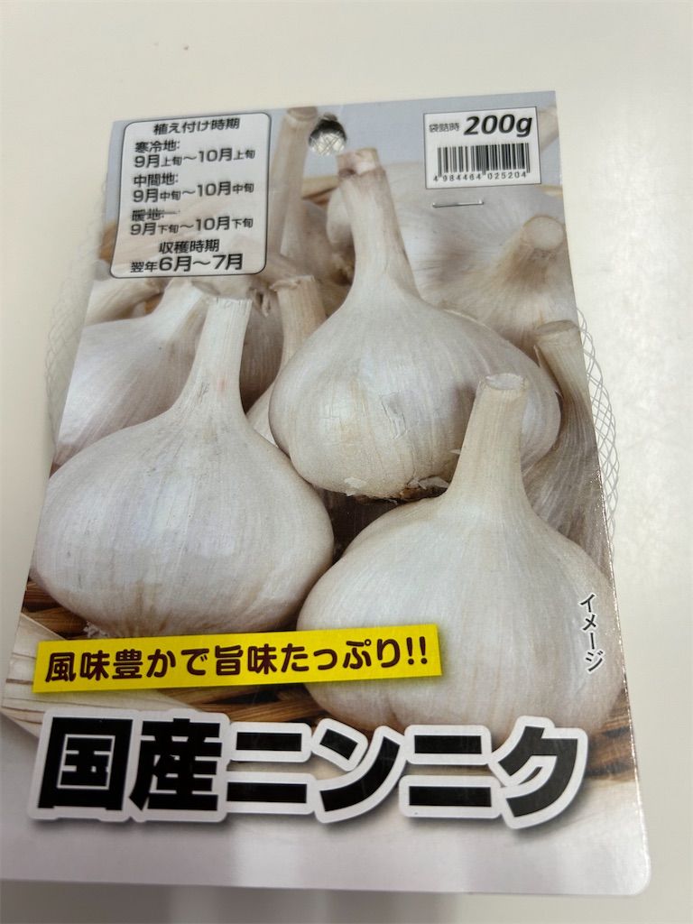 f:id:hana-pippy:20241004195022j:image